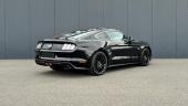 FORD - MUSTANG FASTBACK V8 GT 5.0 BVM6