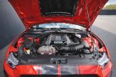 FORD - MUSTANG CONVERTIBLE V8 GT 5.0 BVA6 421CV LOOK SHELBY GT 500