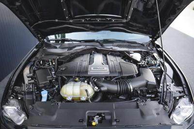 FORD - MUSTANG FASTBACK GT 5.0 V8 450cv BVA10 LOOK SHELBY GT 500