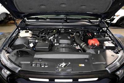 FORD - RANGER T8 MEGA RAPTOR 213CV BVA10 DOUBLE CABINE